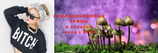 твердый Алексеевка