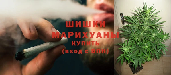 молекула духа Алзамай