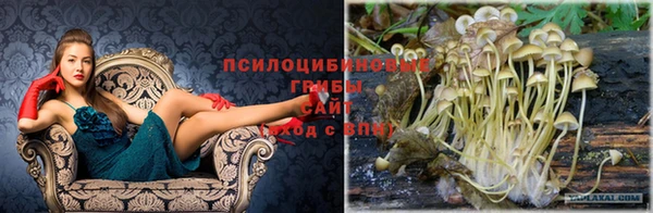 твердый Алексеевка