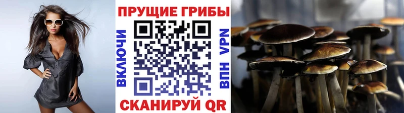 где купить наркотик нарко площадка состав Псилоцибиновые грибы GOLDEN TEACHER Морозовск